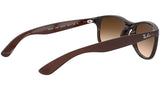 Andy RB4202 607313 matte brown on brown